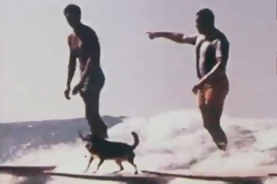 Reminisce summers past with Tom Blip’s ‘There Were No Signs’ video