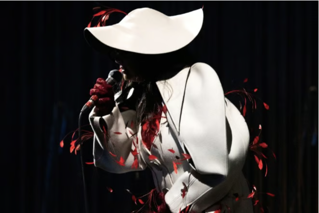 Björk apeluje o uwolnienie  przyjaciółki - Maggi Stíny, zatrzymanej przez izraelskie wojsko