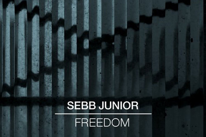 Sebb Junior
