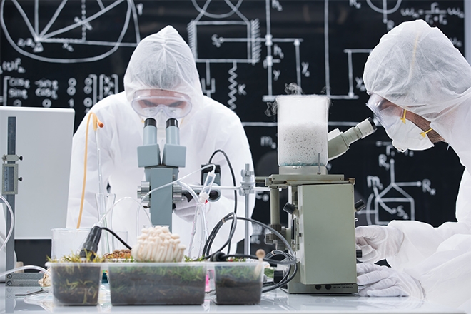 ​New psychedelic research center opens at Johns Hopkins