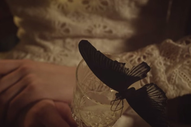 Watch Spectrasoul's butterfly-featuring video for 'Shelter'
