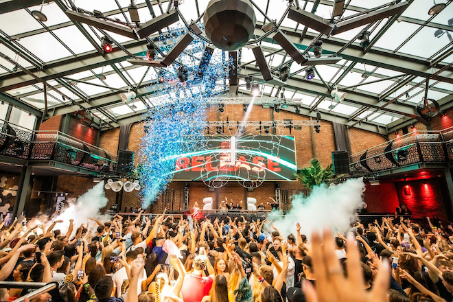Studio 338 is hosting daytime parties in Ibiza next year
