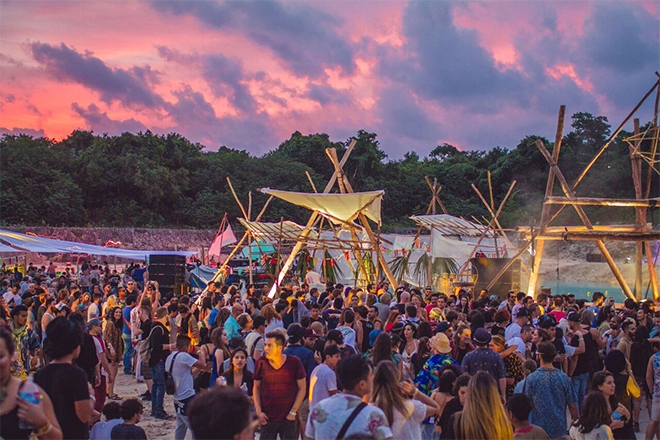 Noise pollution is harming wildlife in Tulum
