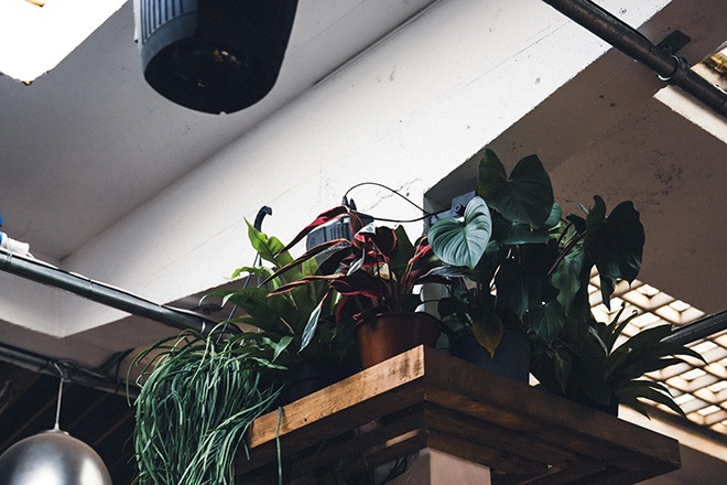 ​The Cause launches new 200-capacity loft venue in London, Vittoria Wharf