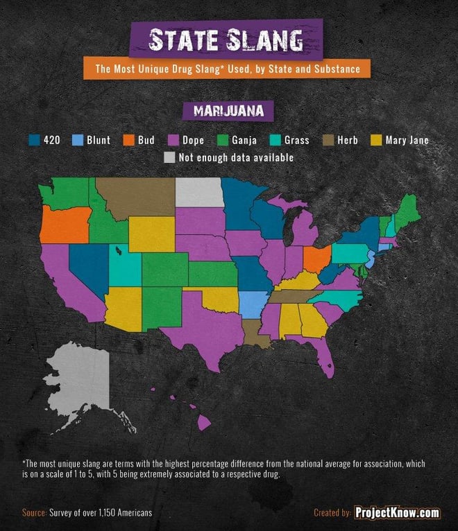 Drug Plug New study shows most unique US drug slang broken down by state - News ...