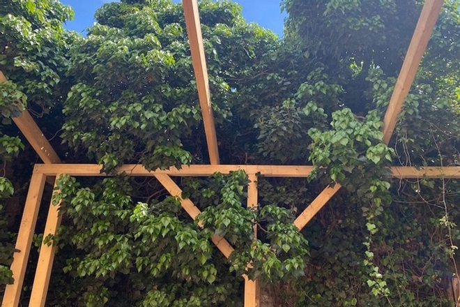 A new open-air club ÆDEN is launching in Berlin