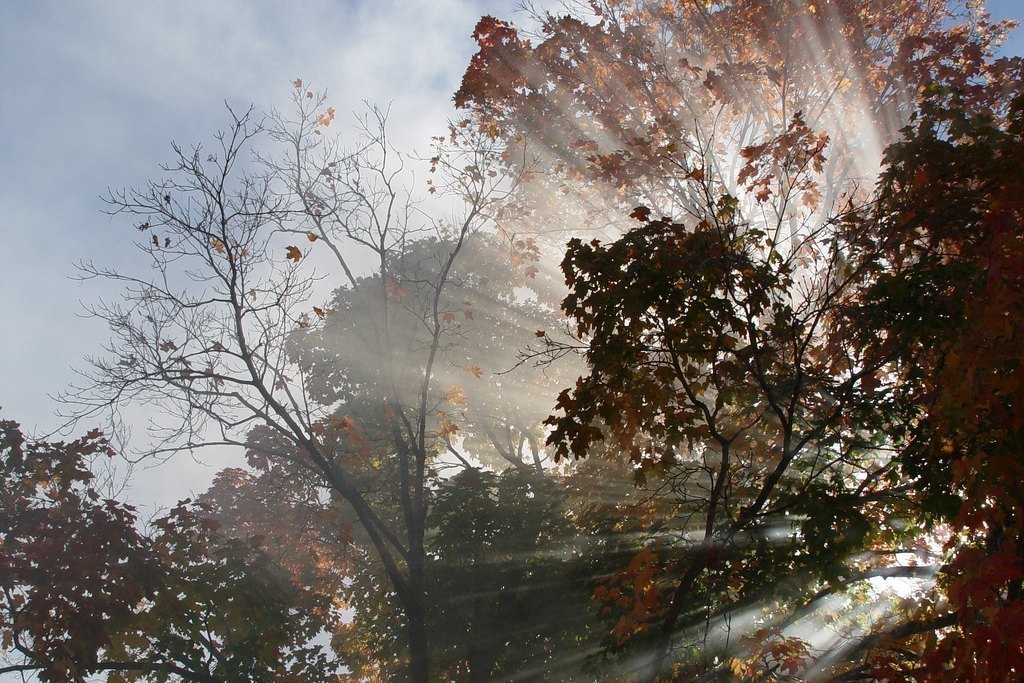 Spotify playlist: 25 tracks pioneering synthy ambient nirvana