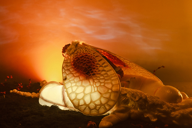 Björk releases a fantastically bizarre music video for 'Arisen My Senses'