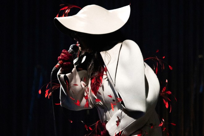 Björk calls for release of friend and musician Magga Stína after “kidnapping” by Israeli forces