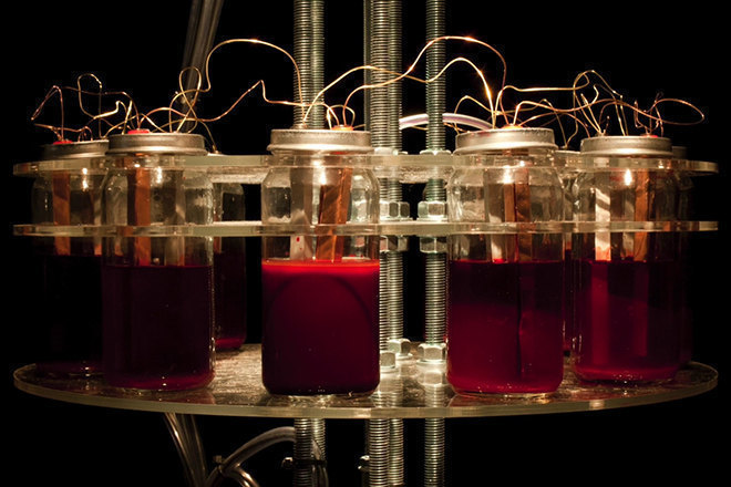 A Russian artist has created a synth installation powered by his blood