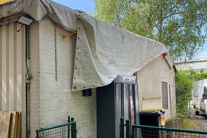 Berlin club Blue Velvet appeals for support after raccoons “eat insulation”