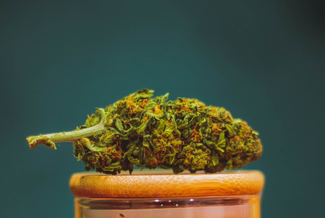 New York to allow those with cannabis convictions to be the first to legally sell the drug