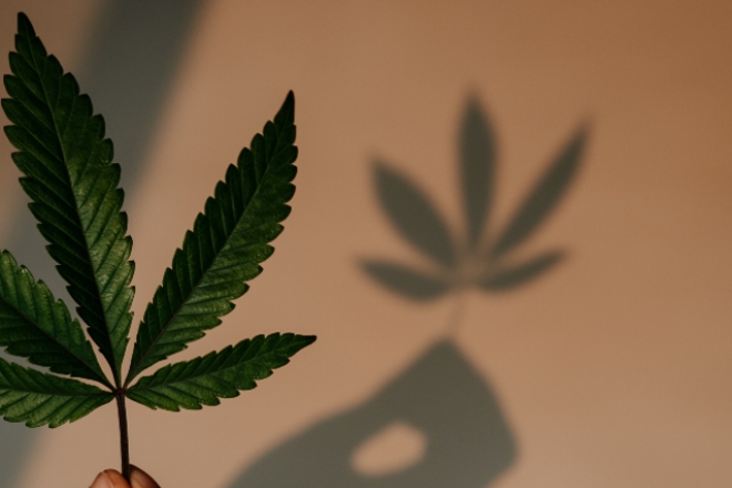 Costa Rica's Congress has just approved cannabis for medicinal use