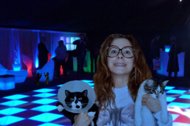 Take A Look Inside The World's First Cat Nightclub
