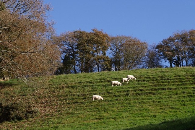 ​“The house was vibrating”: Illegal rave in Devon could be heard from 15 miles away