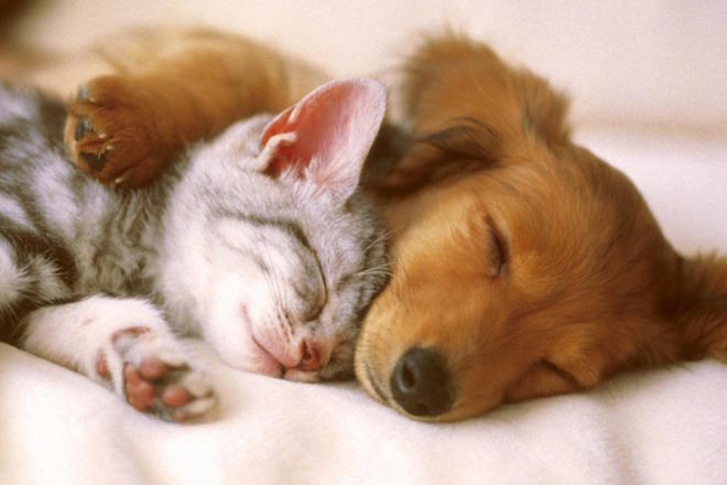Spotify playlist: 50 indulgent tracks to make the comedown feels go away