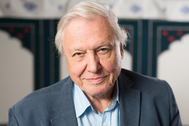 ​Hear David Attenborough’s global music collection
