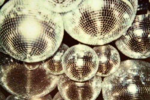 Spotify playlists: 50 deep disco cuts to set the dancefloor on fire