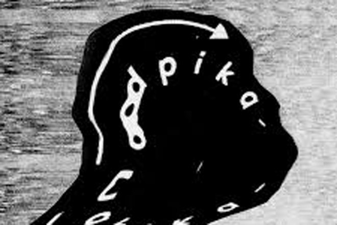 Dense & Pika