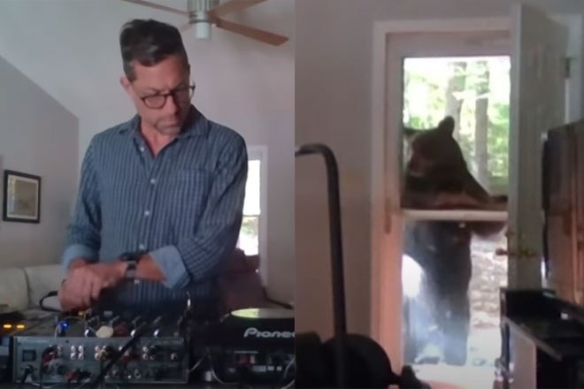 A bear interrupted a DJ during a recent livestream