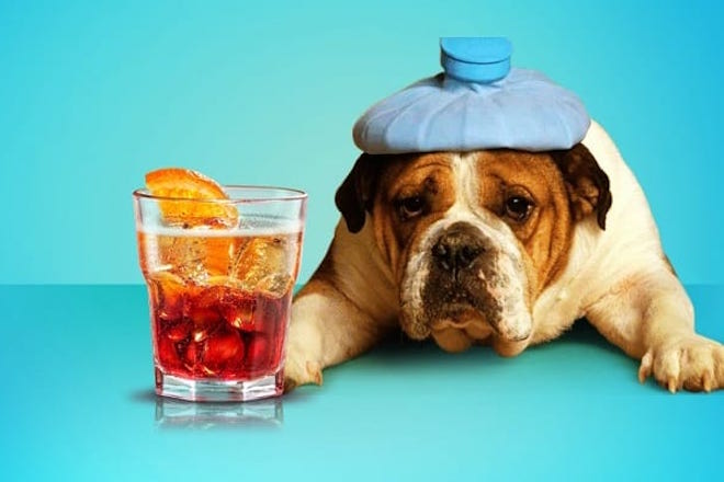 ​Spotify Playlist: 50 tracks to nurse your head-splitting hangover