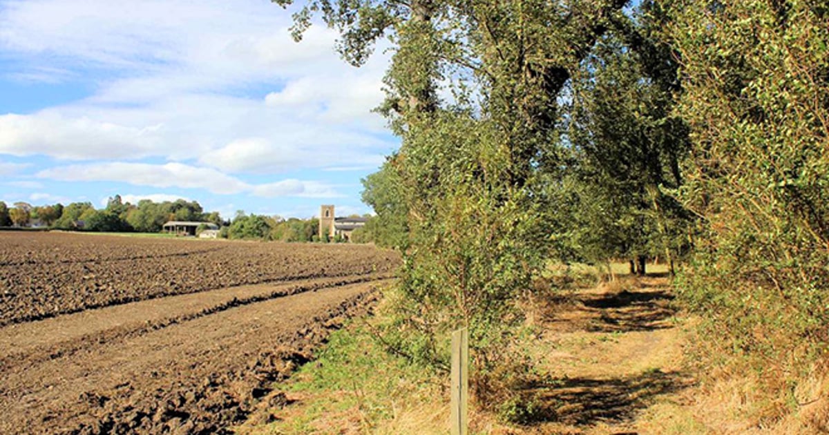 Stabbing Reported at Cambridgeshire Field Rave