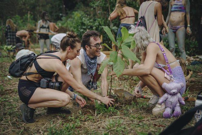 Envision Festival will plant up to 10,000 trees
