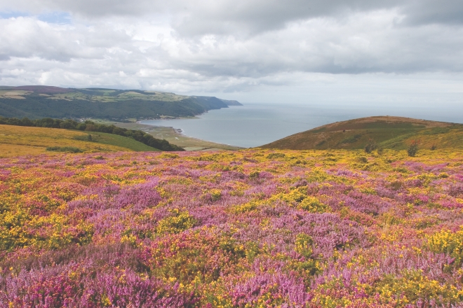 ​Illegal rave host banned from Exmoor National Park for a year