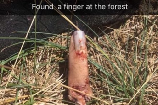 ​Electric Forest responds to claims of “severed finger” found on festival grounds