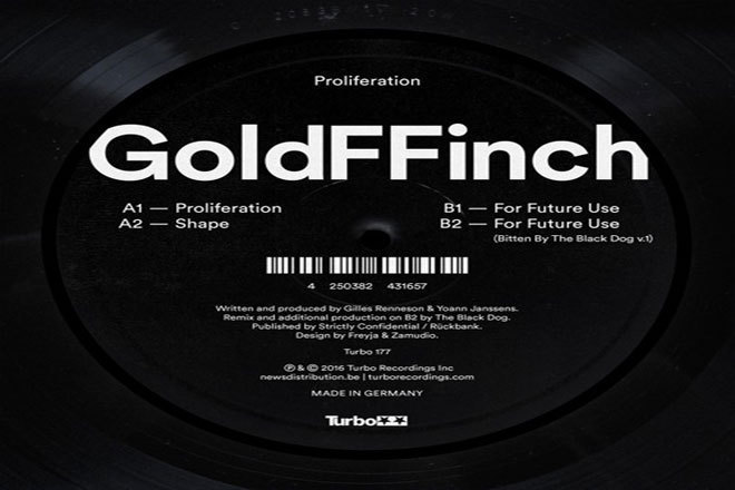 GoldFFinch