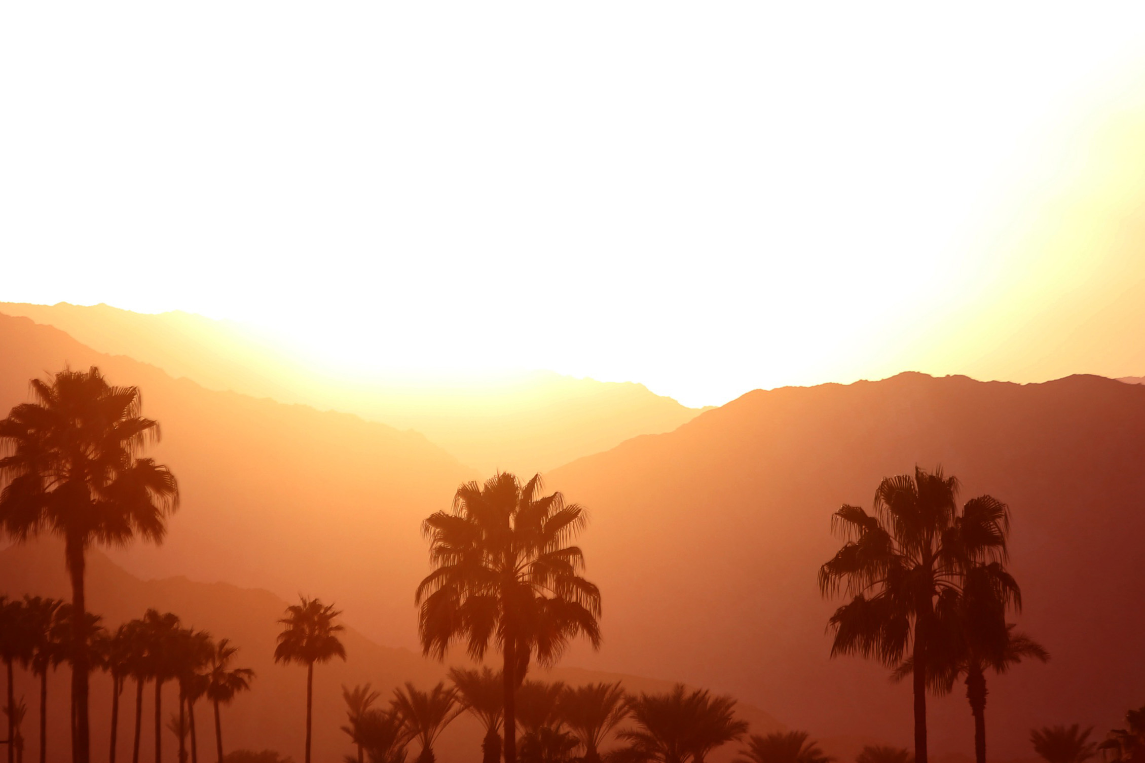 Apple Music to livestream sets from California's Head Trip Festival