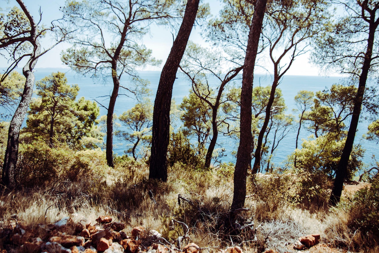Laguna Mala hosts an underground gathering on the Adriatic Sea