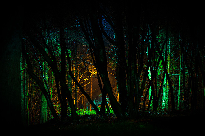 10 people arrested at 300-strong illegal rave in Suffolk forest