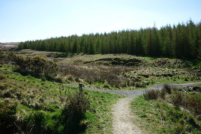 “Let people enjoy themselves”: Police shut down illegal woodland rave in Burnley