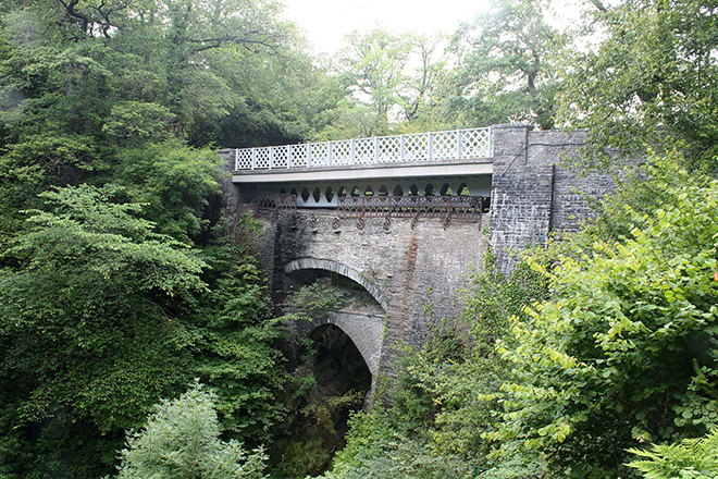 Police shut down “large” illegal rave in Welsh forest