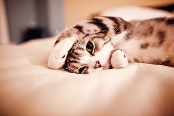 Spotify playlist: 50 gentle tracks to help you breeze through any comedown
