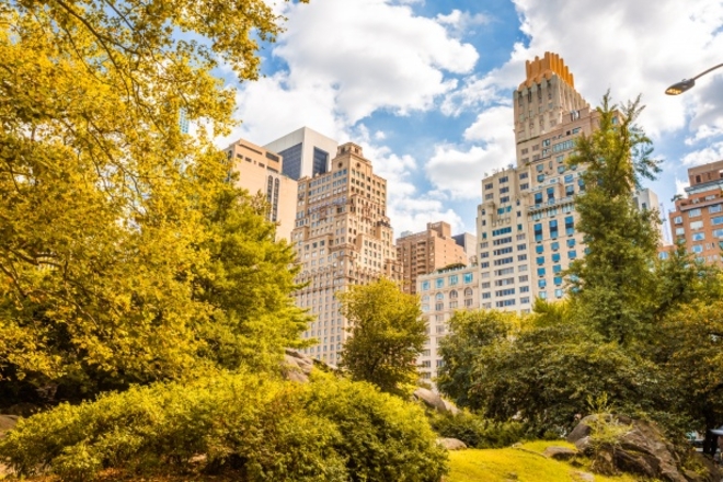 ​New York City nightlife council proposes legalising drinking in parks