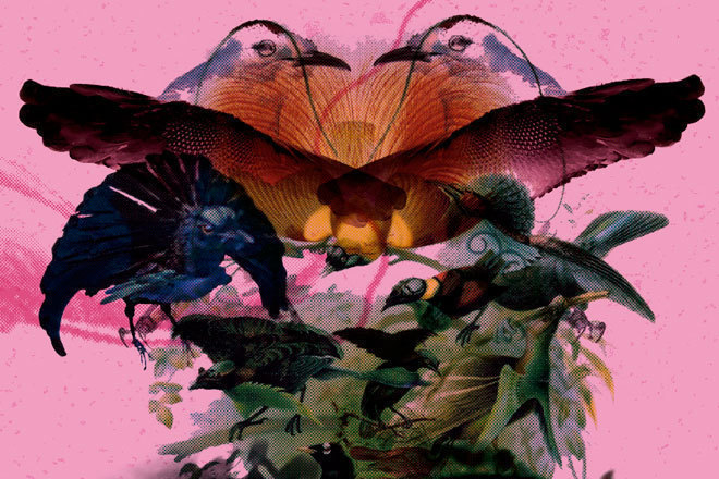 Leon Vynehall shares 'Kiburu's' from his new double-pack