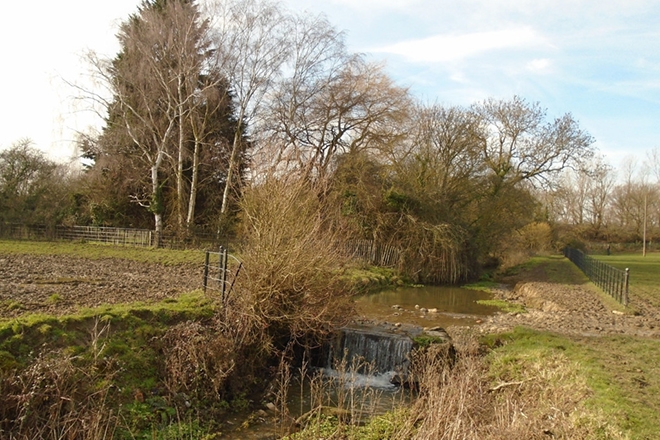 Police called to an illegal rave of around 400 people in Essex