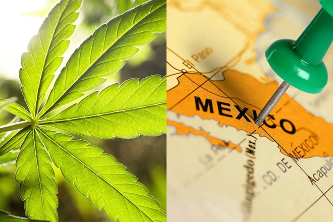 A bill just got passed to legalise recreational cannabis use in Mexico
