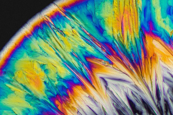 Drug researchers are fundraising to buy a kilo of MDMA