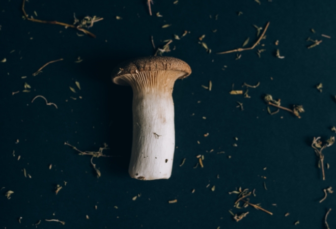 Boris Johnson to consider legislation of psilocybin