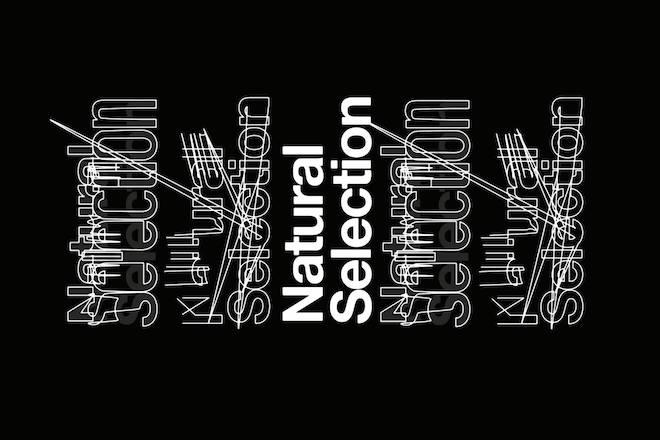 Leeds' Natural Selection presents new day festival Adaptations