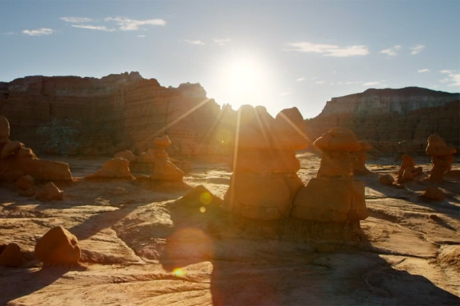 Benji B soundtracks unused footage from Planet Earth II