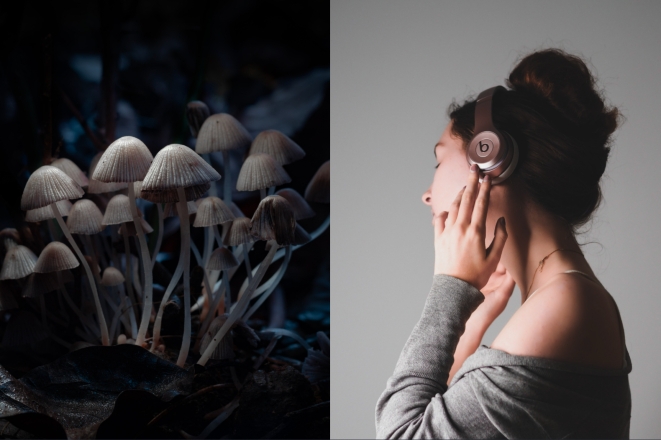 New therapy centre pairing psychedelics and music coming to London