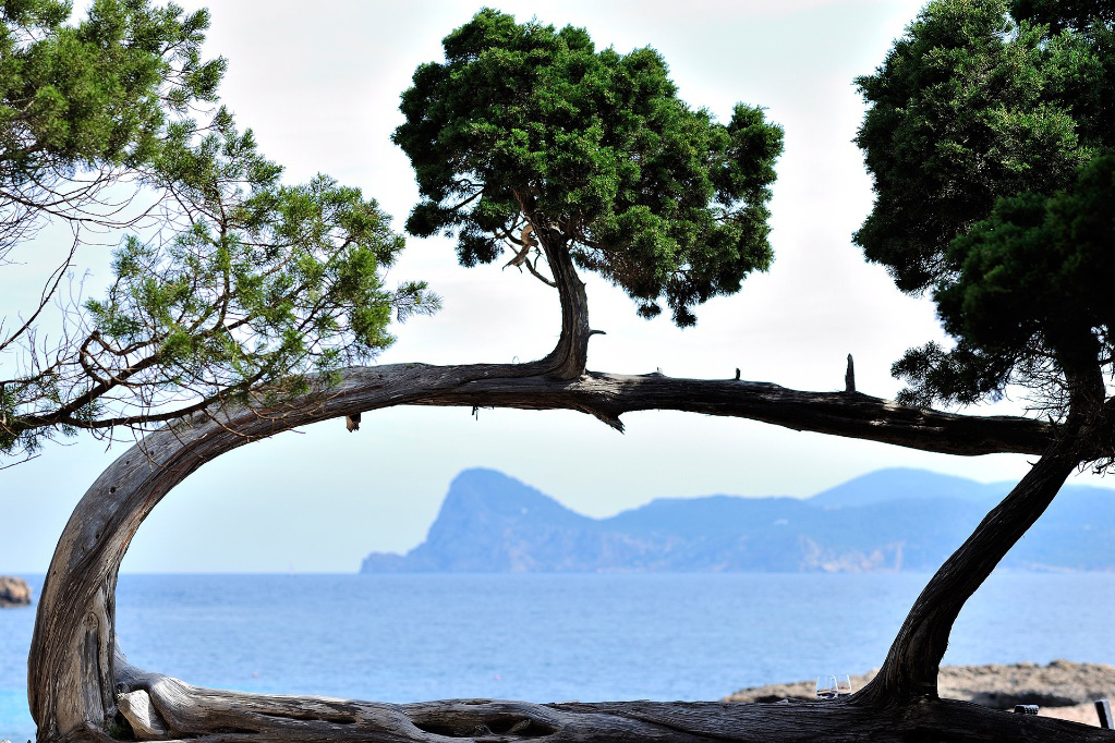 Remedy State just launched a very chill wellness retreat at IMS in Ibiza