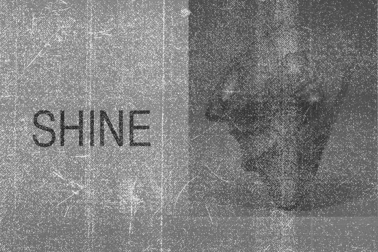 PTP drops benefit club compilation featuring Ziúr and Endgame
