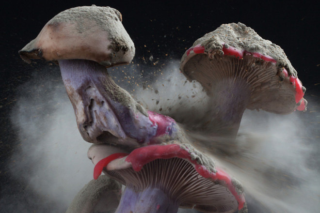Paul Woolford takes on 'fabriclive 91' as Special Request