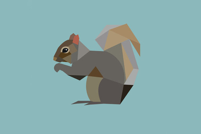 A rave is thought to have scared off one of the largest squirrel colonies in Wales
