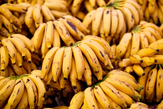 $17.8 million worth of cocaine found in banana boxes donated to a prison